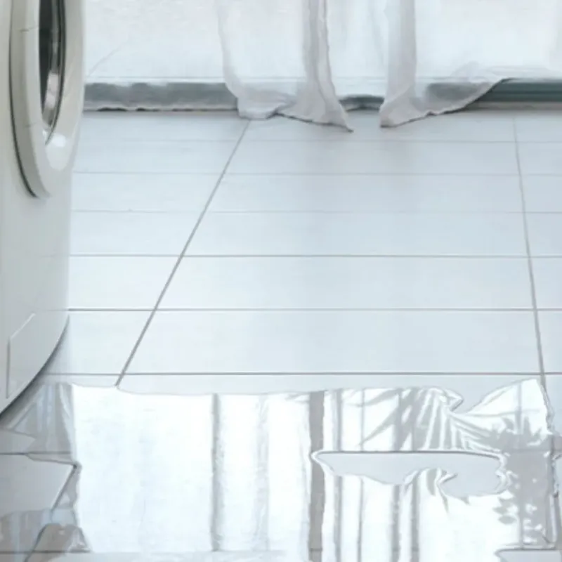 Appliance Leak Cleanup in Lovell, ME