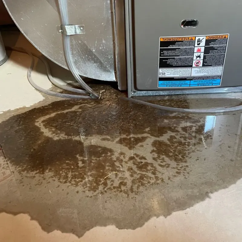 Pipe Burst and Leak Restoration in Lovell, ME